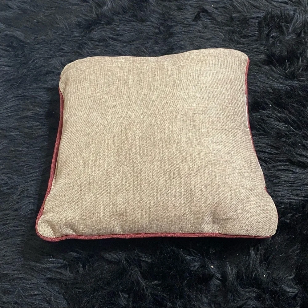 Source Unknown accent pillow
